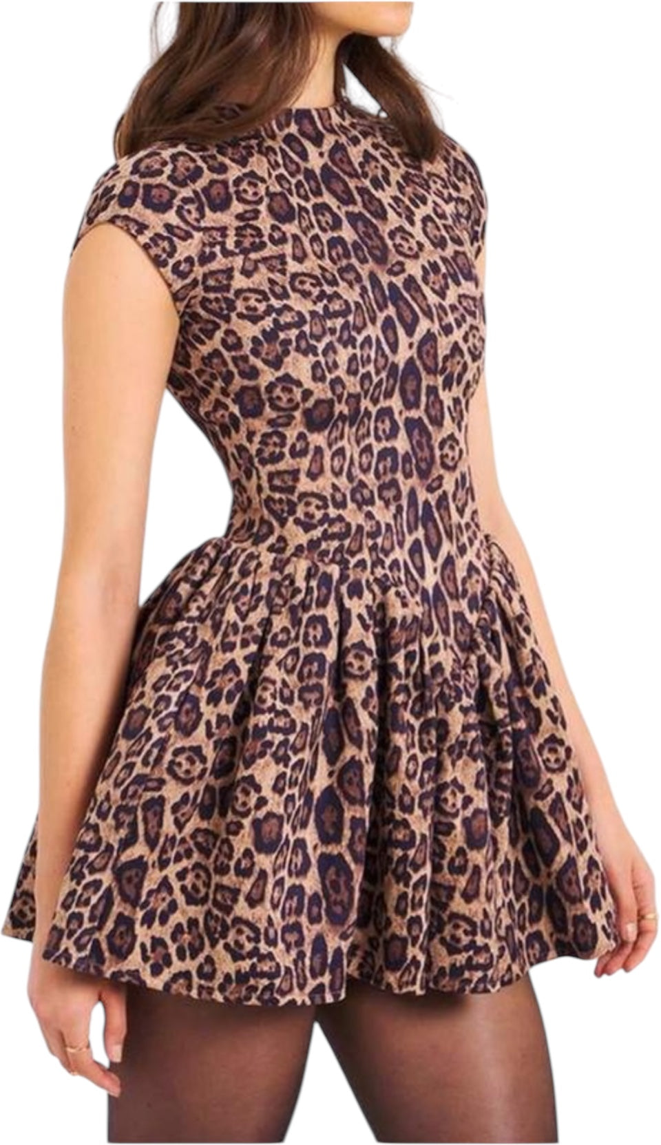 Leopard Dress
